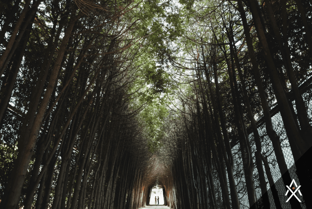 The Power of Roth Conversions: Smart Moves for Long-Term Freedom