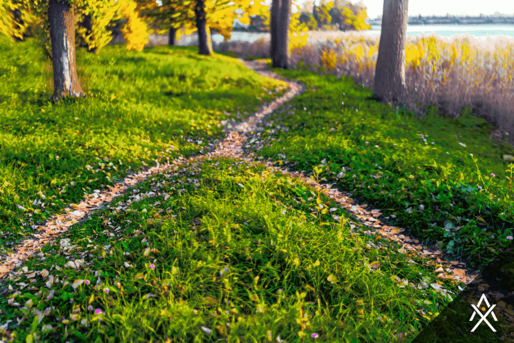 The Foundation of Retirement Confidence: Building Reliable Income Streams